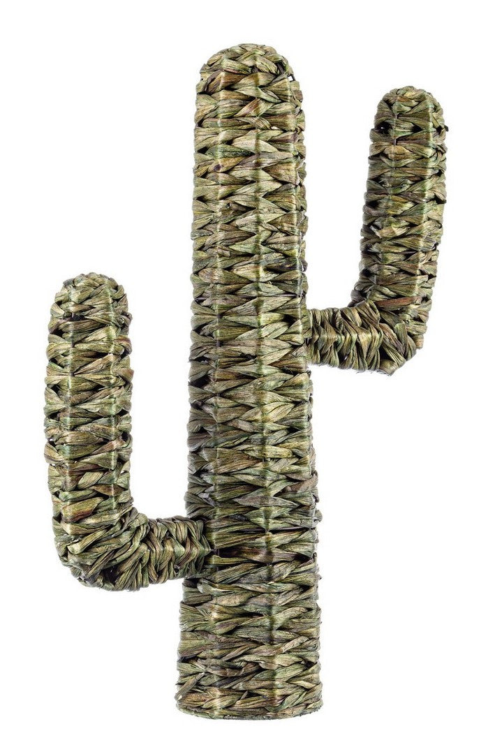 CACTUS SAGUARO VERDE H73