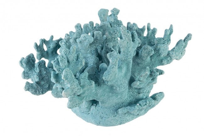 CORALLO RUBRUM AZZURRO 32X21