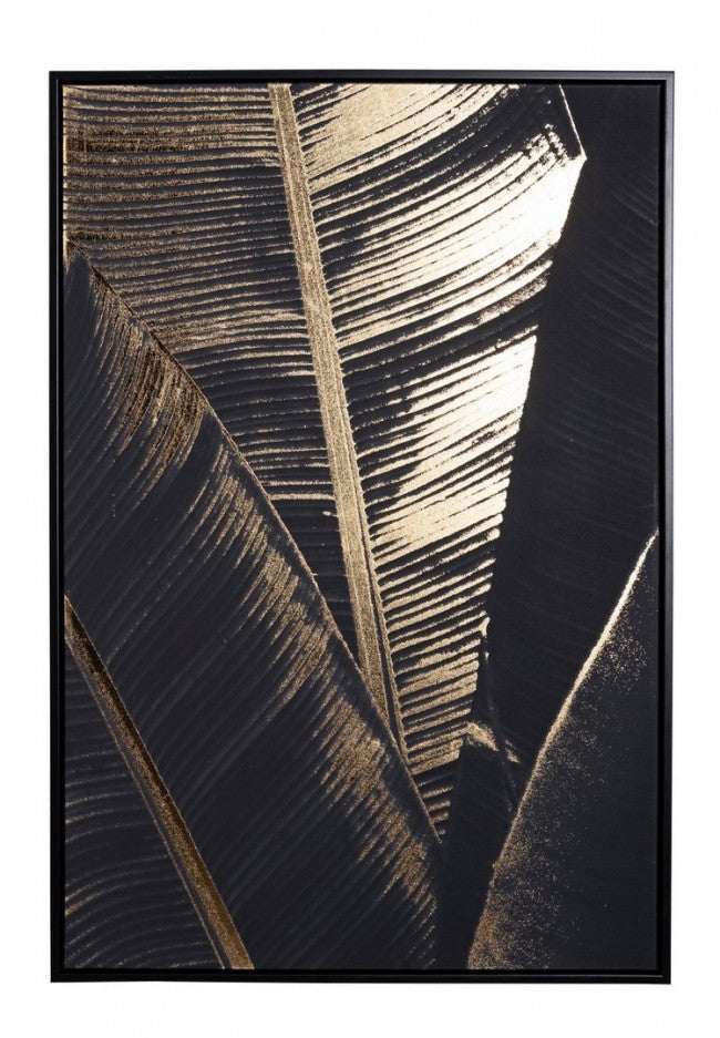 QUADRO C-C BOLD 780 62X92