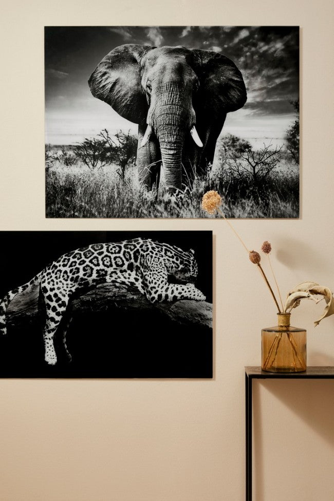 DIPINTO PLEXY 426 120X90