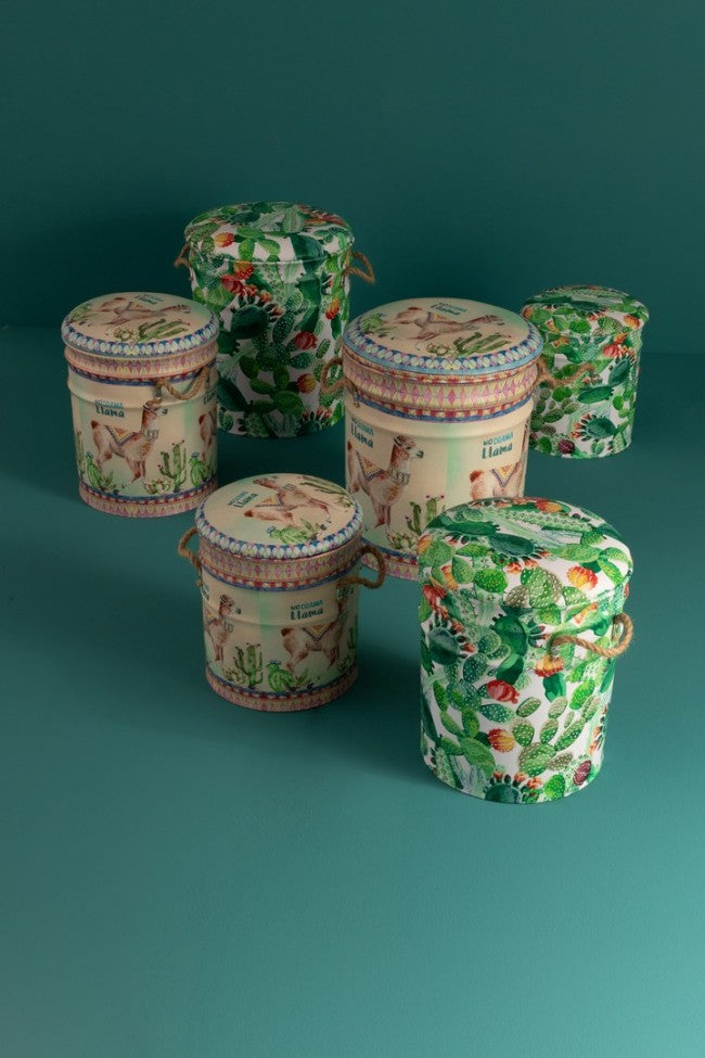 SET3 SGABELLO CONTENITORE FORESTIS Y12