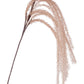 RAMO CADENTE KATE BEIGE H140