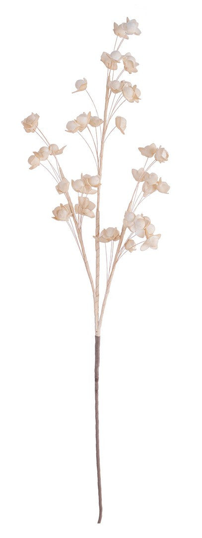 RAMO ALICE BEIGE H120