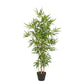 PIANTA BAMBOO C-VASO H130CM