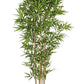 PIANTA BAMBOO C-VASO H185CM