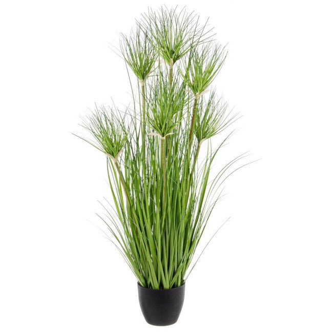 PIANTA DESERTO VERDE C-VASO X7F H90