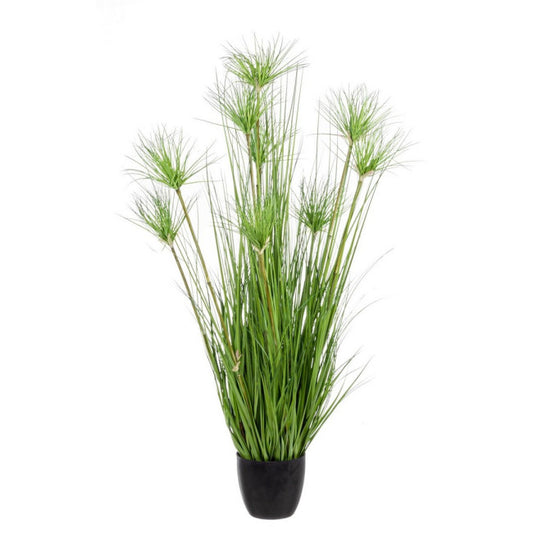 PIANTA DESERTO VERDE C-VASO X9F H120