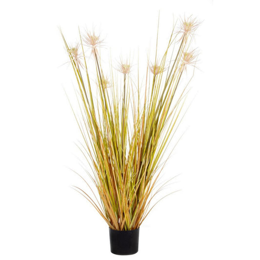 PIANTA DESERTO PAGLIA C-VASO X7F H120