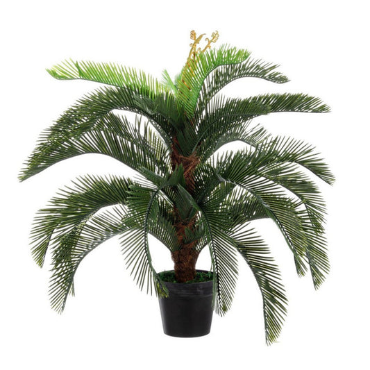 PIANTA PALMA CYCAS C-VASO 30FOGLIE H100