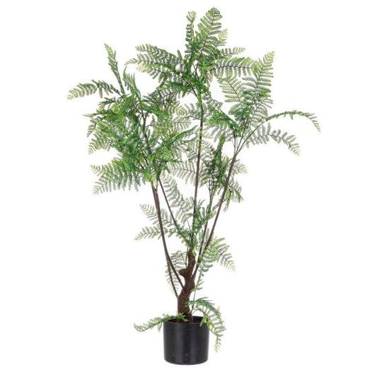 PIANTA FELCE C-VASO 75FOGLIE H108