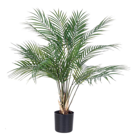 PIANTA KENZIA C-VASO 18FOGLIE H72