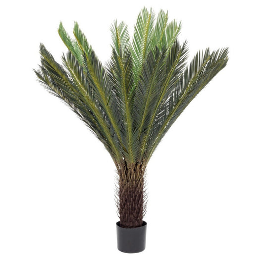 PIANTA PALMA CYCAS C-VASO 28FOGLIE H120
