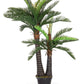 PIANTA PALMA C-VASO 36FOGLIE 2TR H150
