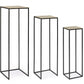 SET3 P.PIANTA AMIRA