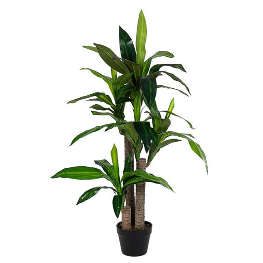PIANTA DRACAENA C-VASO 65FOGLIE H110