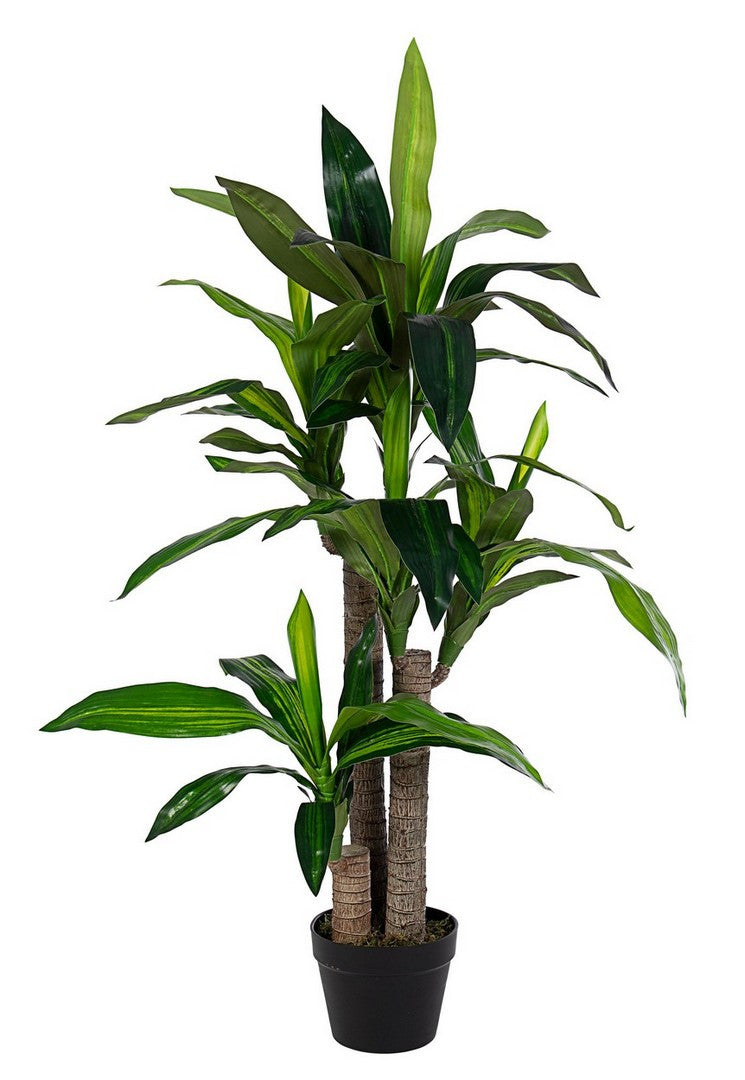 PIANTA DRACAENA C-VASO 65FOGLIE H110