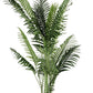 PIANTA KENZIA C-VASO 17FOGLIE H160