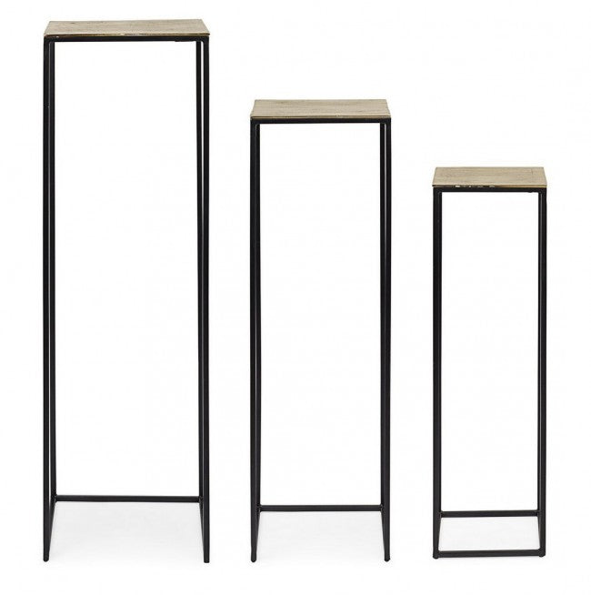 SET3 P.PIANTA AMIRA