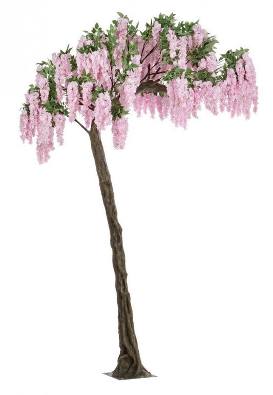 ALBERO GLICINE ROSA H320