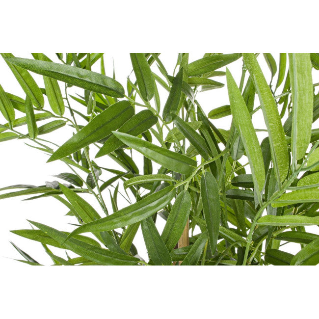 PIANTA BAMBOO C-VASO H130CM