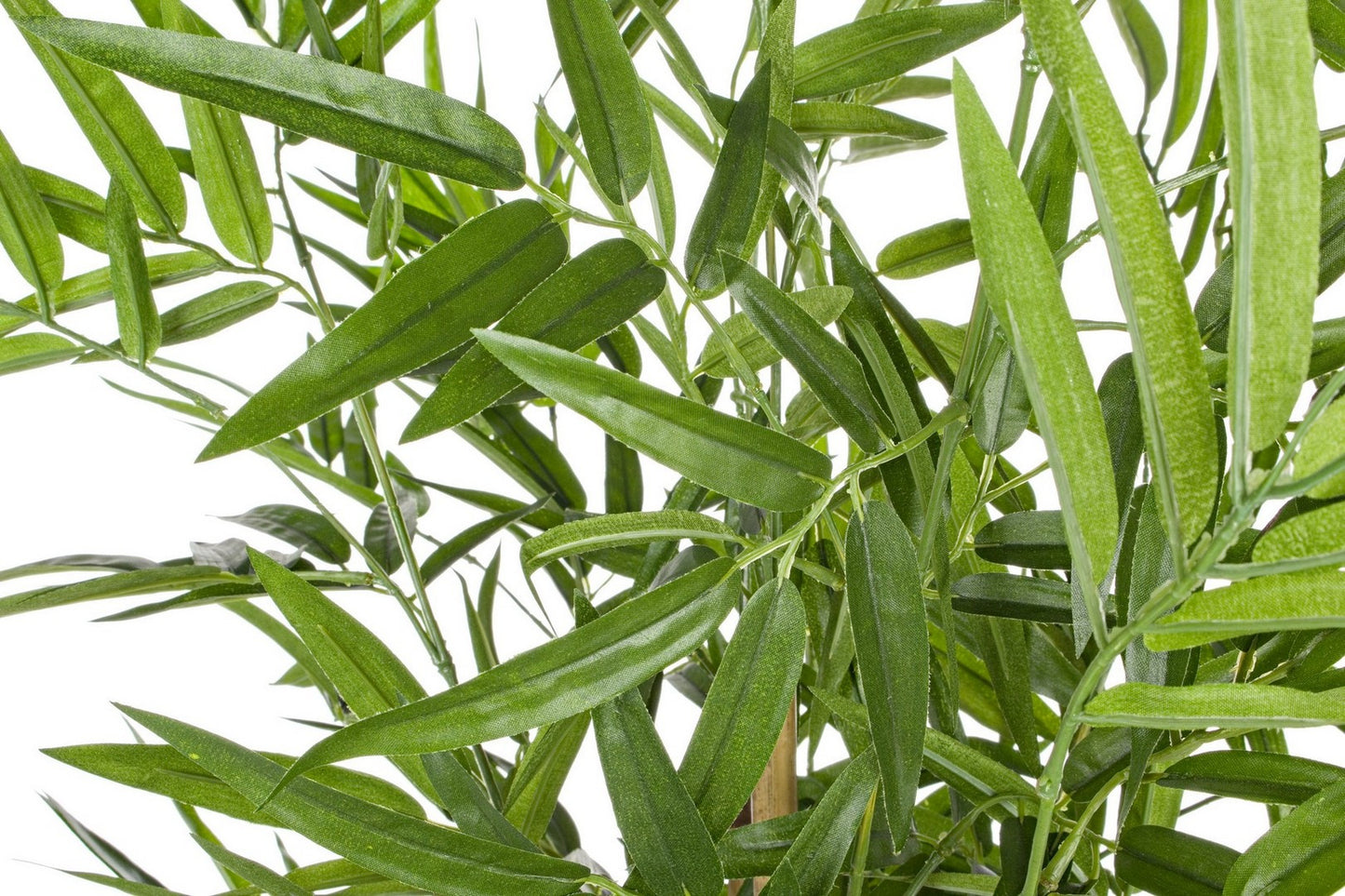 PIANTA BAMBOO C-VASO H130CM