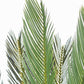 PIANTA PALMA CYCAS C-VASO 28FOGLIE H120