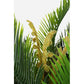 PIANTA PALMA C-VASO 36FOGLIE 2TR H150