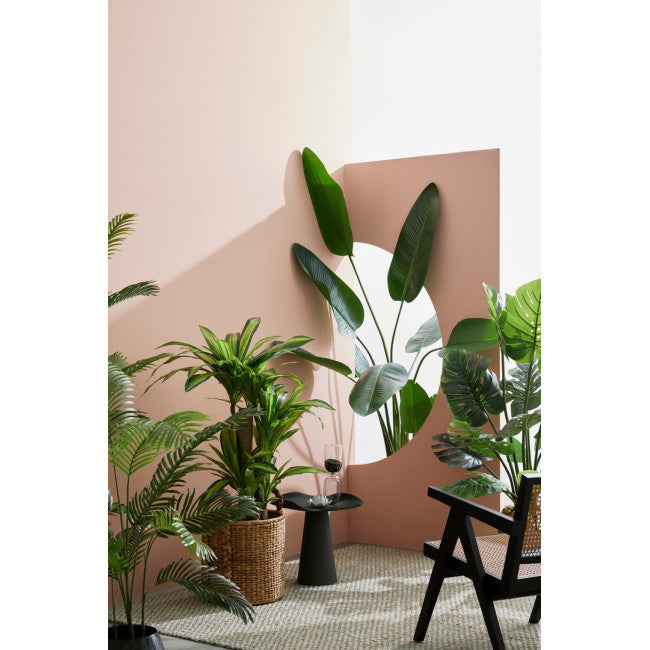 PIANTA DRACAENA C-VASO 65FOGLIE H110