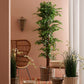 DECORAZIONE CASA