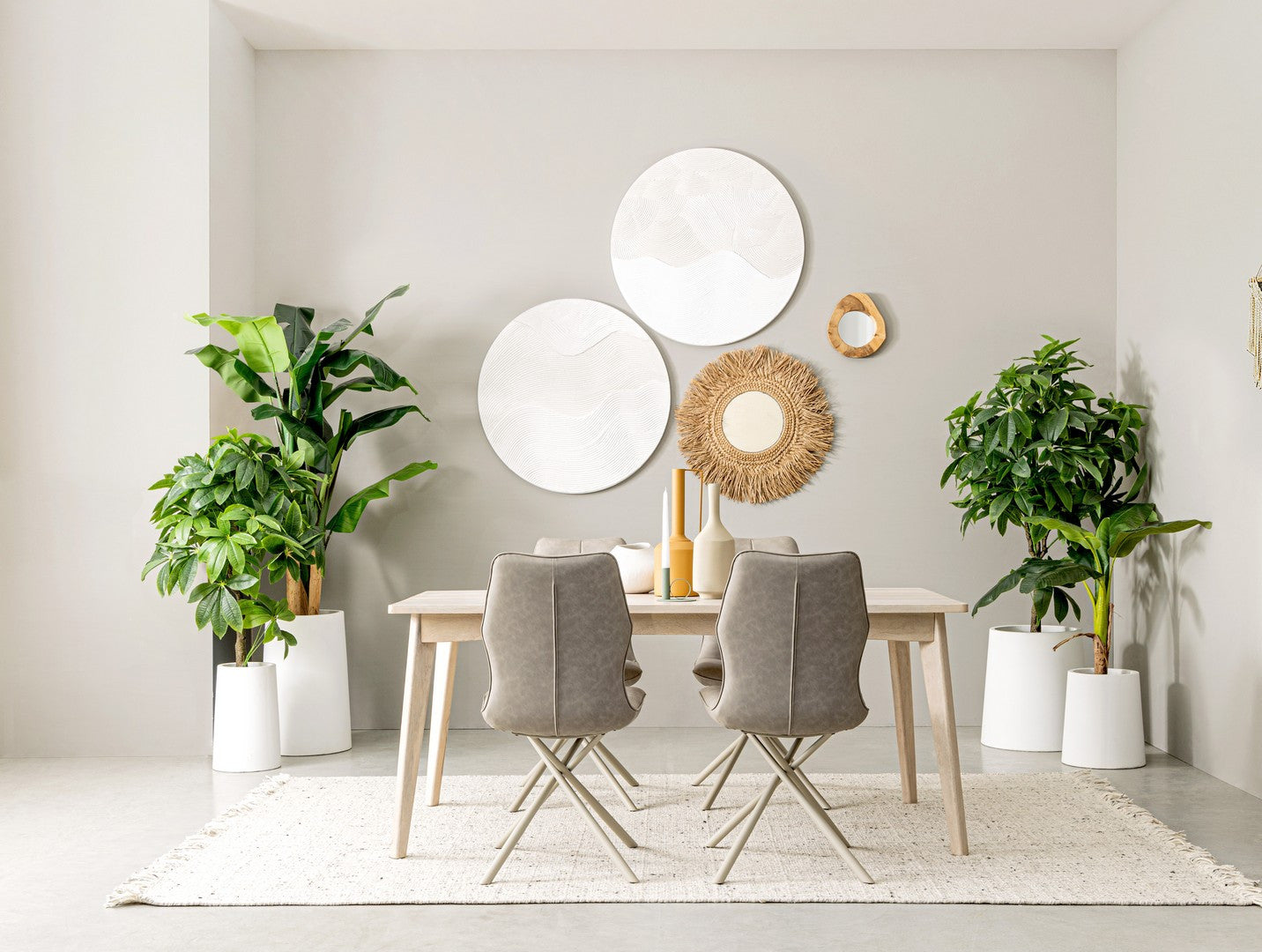 PIANTA PACHIRA AQUATICA C-VASO 360F H160