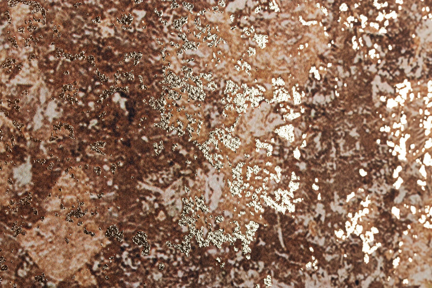 QUADRO C-C BOLD 883 122X82