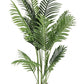 PIANTA KENZIA C-VASO 15FOGLIE H140