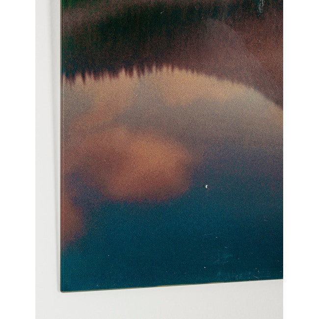 DIPINTO PLEXY 229 100X70