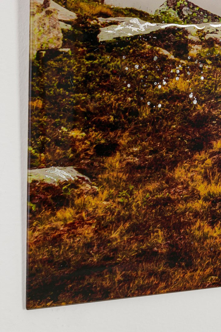 DIPINTO PLEXY 438 120X80