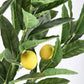 PIANTA LIMONE C-VASO 224FOGLIE H115