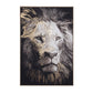 QUADRO C-C BOLD 906 82X122