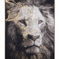 QUADRO C-C BOLD 906 82X122