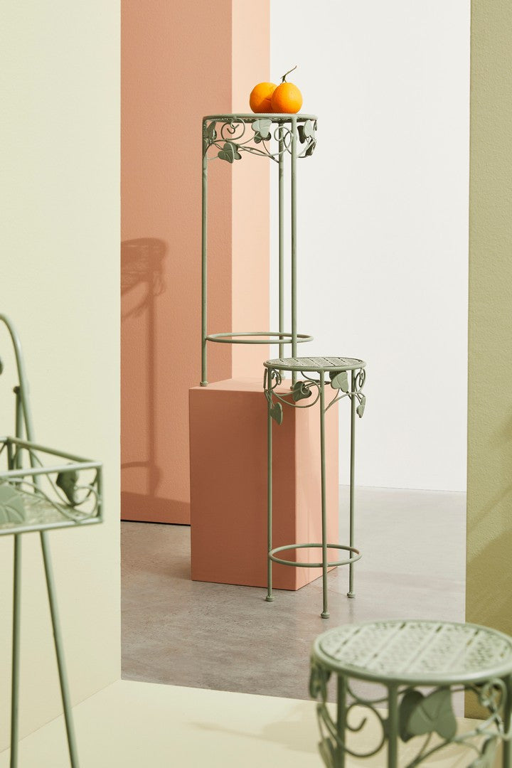 SET3 P.FIORE  HARRIET TO SALVIA