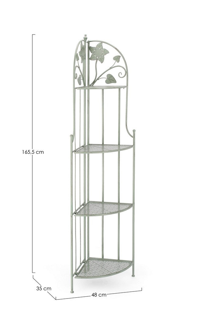 ANGOLIERA 4P HARRIET SALVIA