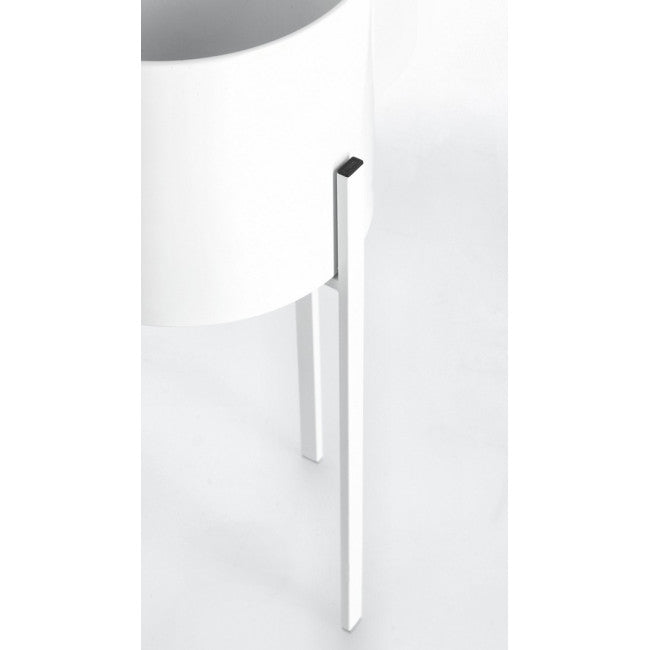 SET2 P.FIORE ESTER TO BIANCO