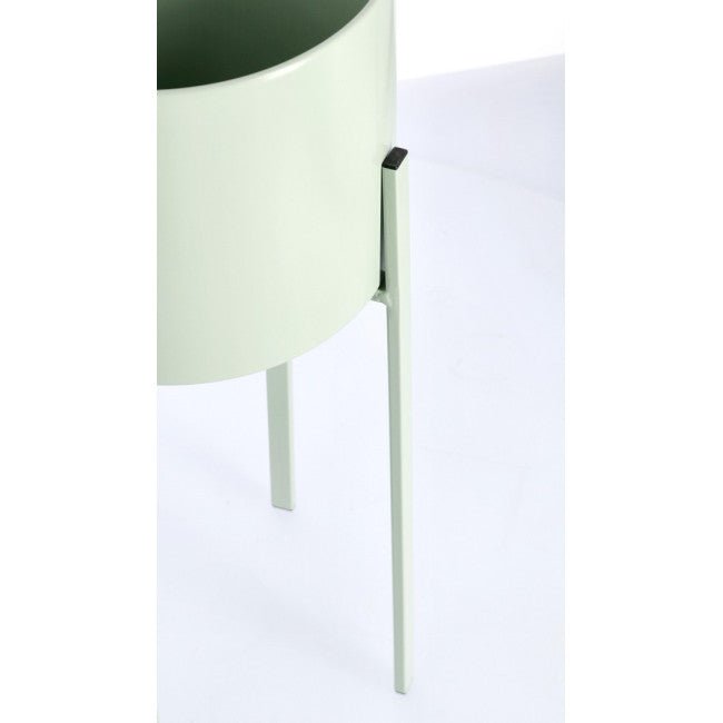 SET2 P.FIORE ESTER TO VERDE SALVIA