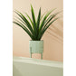SET2 P.FIORE ESTER TO VERDE SALVIA