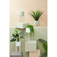SET2 P.FIORE ESTER TO VERDE SALVIA
