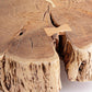 TAVOLINO ENEAS TREE