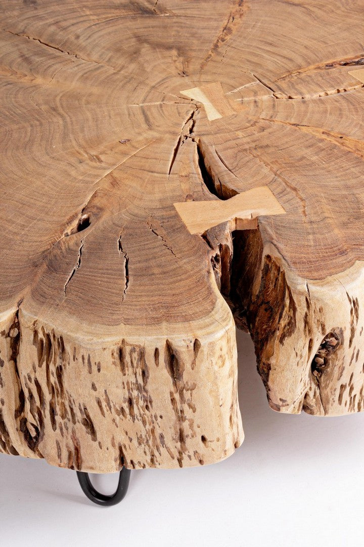 TAVOLINO ENEAS TREE