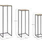 SET3 P.PIANTA AMIRA
