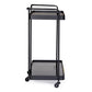 CARRELLO ZEINA L