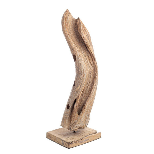 P.BOTTIGLIA ADANYA H90