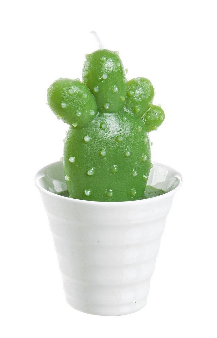 CANDELA MEXICO CACTUS 343
