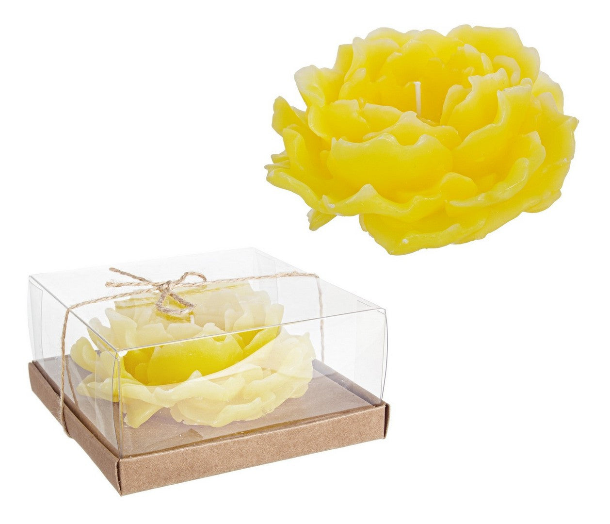 CANDELA SWEET PEONIA GIALLO